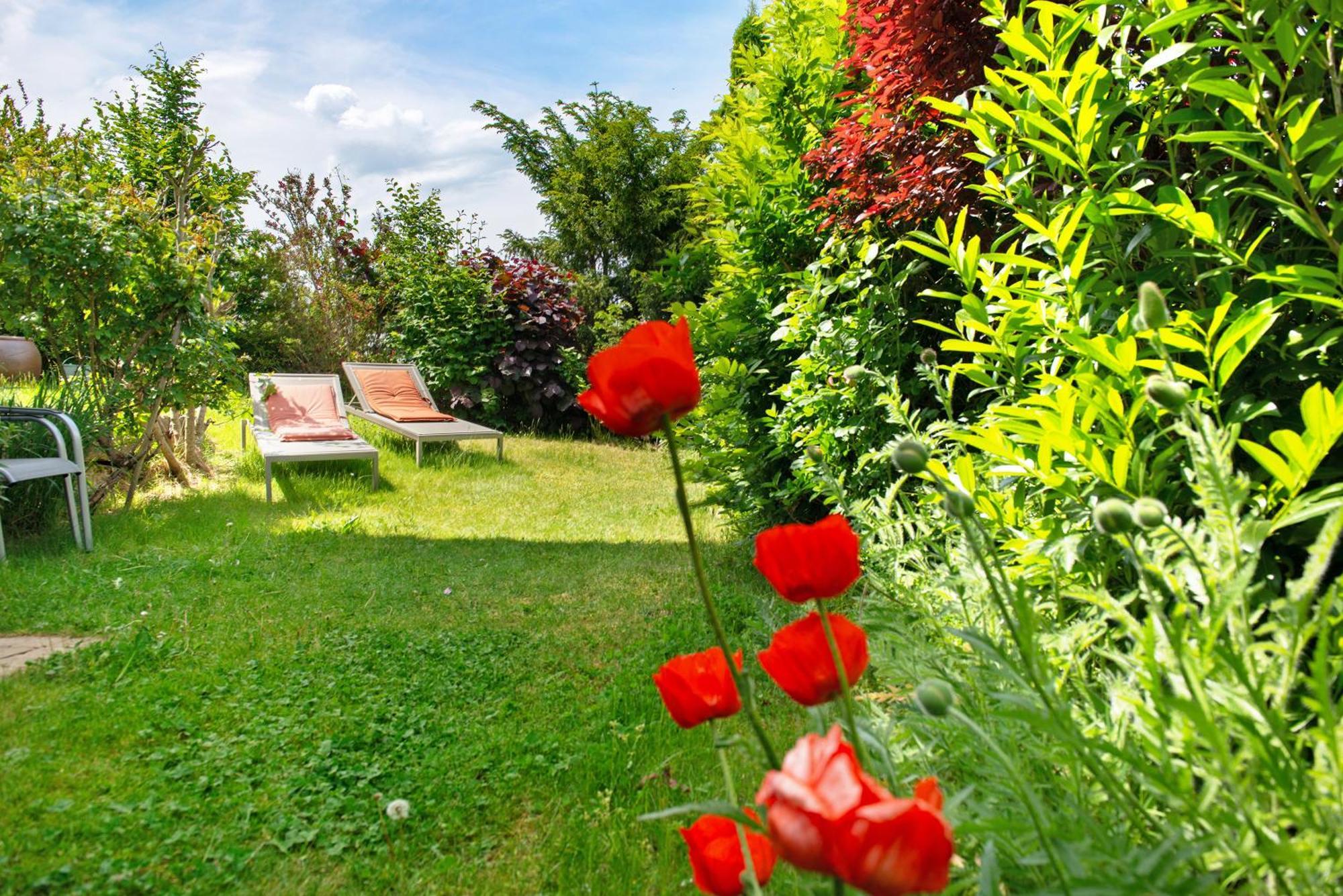 Ferienwohnungen Im Rosengarten Bodman-Ludwigshafen Buitenkant foto